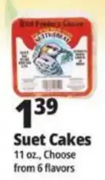 Ocean State Job Lot Wild Peppers Suet Cakes offer