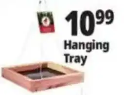 Ocean State Job Lot Hanging Tray offer