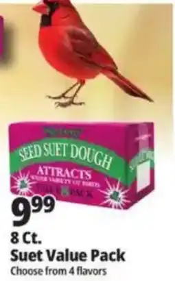 Ocean State Job Lot Seed Suet Dough offer