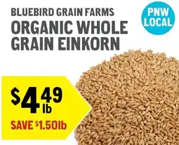 New Seasons Market Bluebird grain farms organic whole grain einkorn offer