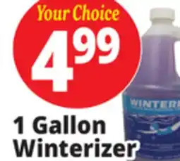 Ocean State Job Lot Pool Winterizer offer