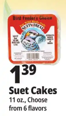 Ocean State Job Lot Bird Feeder's Choice High Energy Suet 11 oz offer