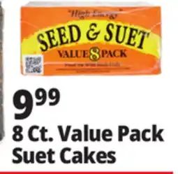 Ocean State Job Lot Value Pack Suet Cakes offer