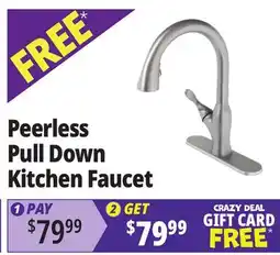 Ocean State Job Lot Peerless Pull Down Kitchen Faucet offer