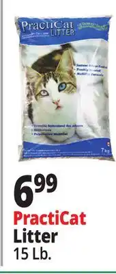 Ocean State Job Lot Premium Scoopable Cat Litter offer