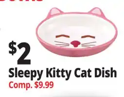 Ocean State Job Lot Sleepy Kitty Cat Dish offer