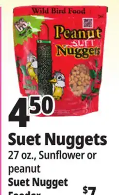 Ocean State Job Lot Suet Nuggets offer