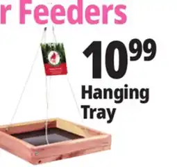 Ocean State Job Lot Yankee Trader Feeders Hanging Tray offer