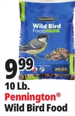 Ocean State Job Lot 10 Lb. Pennington Wild Bird Food offer