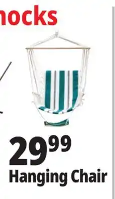 Ocean State Job Lot Hanging Chair offer