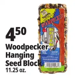 Ocean State Job Lot Woodpecker Hanging Seed Block offer