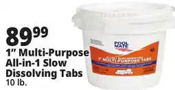 Ocean State Job Lot 1 Multi-Purpose All-in-1 Slow Dissolving Tabs offer
