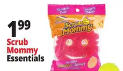Ocean State Job Lot Scrub Daddy Dual-Sided Scrubber + Sponge offer