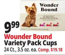 Ocean State Job Lot Wounder Bound Variety Pack Cups offer