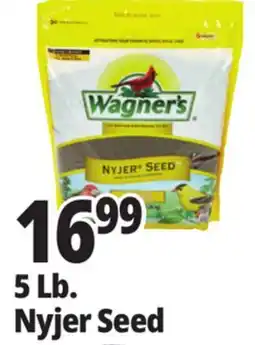 Ocean State Job Lot 5 Lb. Nyjer Seed offer