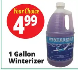 Ocean State Job Lot 1 Gallon Winterizer offer