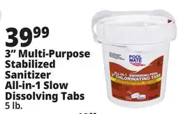 Ocean State Job Lot All-In-One 3 Chlorinating Tabs offer