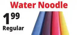 Ocean State Job Lot Water Noodle offer