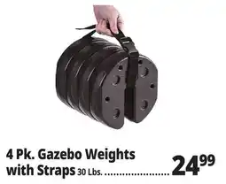 Ocean State Job Lot 4 Pk. Gazebo Weights with Straps offer