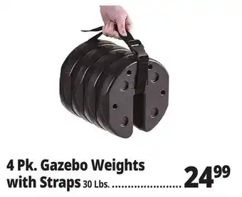 Ocean State Job Lot 4 Pk. Gazebo Weights with Straps offer