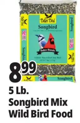 Ocean State Job Lot Songbird Mix Wild Bird Food offer