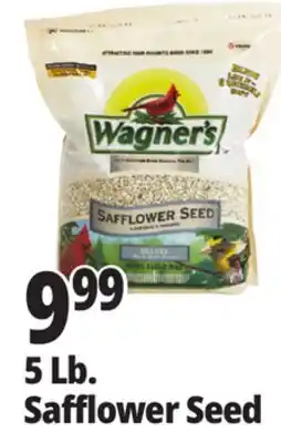 Ocean State Job Lot 5 Lb. Safflower Seed offer