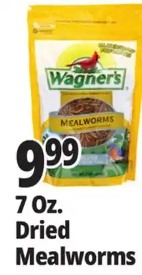 Ocean State Job Lot 7 Oz. Dried Mealworms offer