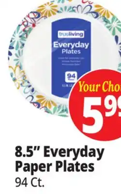 Ocean State Job Lot 8.5 Everyday Paper Plates offer