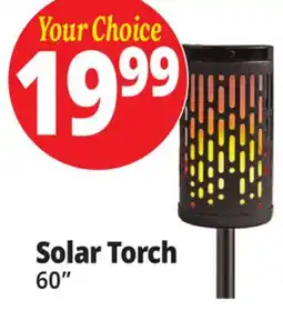 Ocean State Job Lot Solar Torch offer