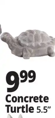 Ocean State Job Lot Concrete Turtle offer