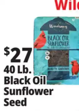 Ocean State Job Lot Black Oil Sunflower Seed offer