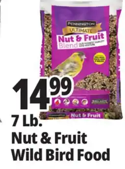 Ocean State Job Lot 7 Lb. Nut & Fruit Wild Bird Food offer