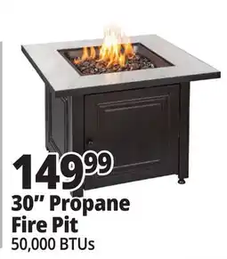 Ocean State Job Lot Endless Summer The Bristol Square 30 Outdoor Propane Fire Pit offer