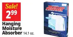 Ocean State Job Lot Hanging Moisture Absorber offer