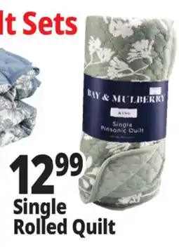 Ocean State Job Lot Single Pinsonic Quilt offer