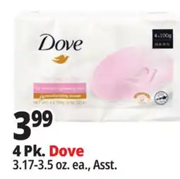 Ocean State Job Lot 4 Pk. Dove offer