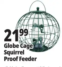 Ocean State Job Lot Globe Cage Squirrel Proof Feeder offer