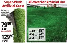 Ocean State Job Lot Artificial Grass Rugs offer