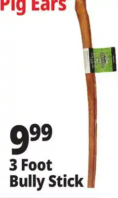 Ocean State Job Lot 3 Foot Bully Stick offer