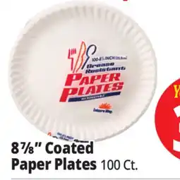 Ocean State Job Lot Leisure Way Paper Plates 100 ct 8.875 offer