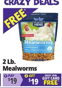 Ocean State Job Lot Hungry Hens Mealworms 2 lbs offer