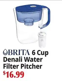 Ocean State Job Lot BRITA 6 Cup Denali Water Filter Pitcher offer