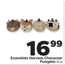 Weis Markets Essentials Harvest Character Pumpkin offer