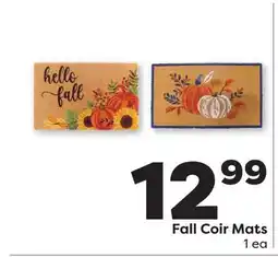 Weis Markets Fall Coir Mats offer