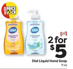 Weis Markets Dial Liquid Hand Soap offer