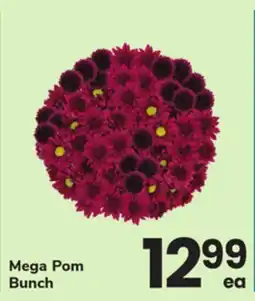 ACME Mega Pom Bunch offer