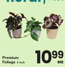 ACME Premium Foliage offer