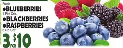 Bravo Supermarkets BLUEBERRIES, BLACKBERRIES, RASPBERRIES offer