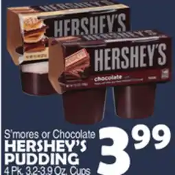 Bravo Supermarkets HERSHEY'S PUDDING offer