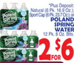 Bravo Supermarkets POLAND SPRING WATER 12 Pk. 8 Oz. Btls offer